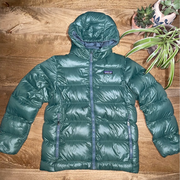 Patagonia Hi-Loft Down Sweater Hoody - Picture 2 of 13